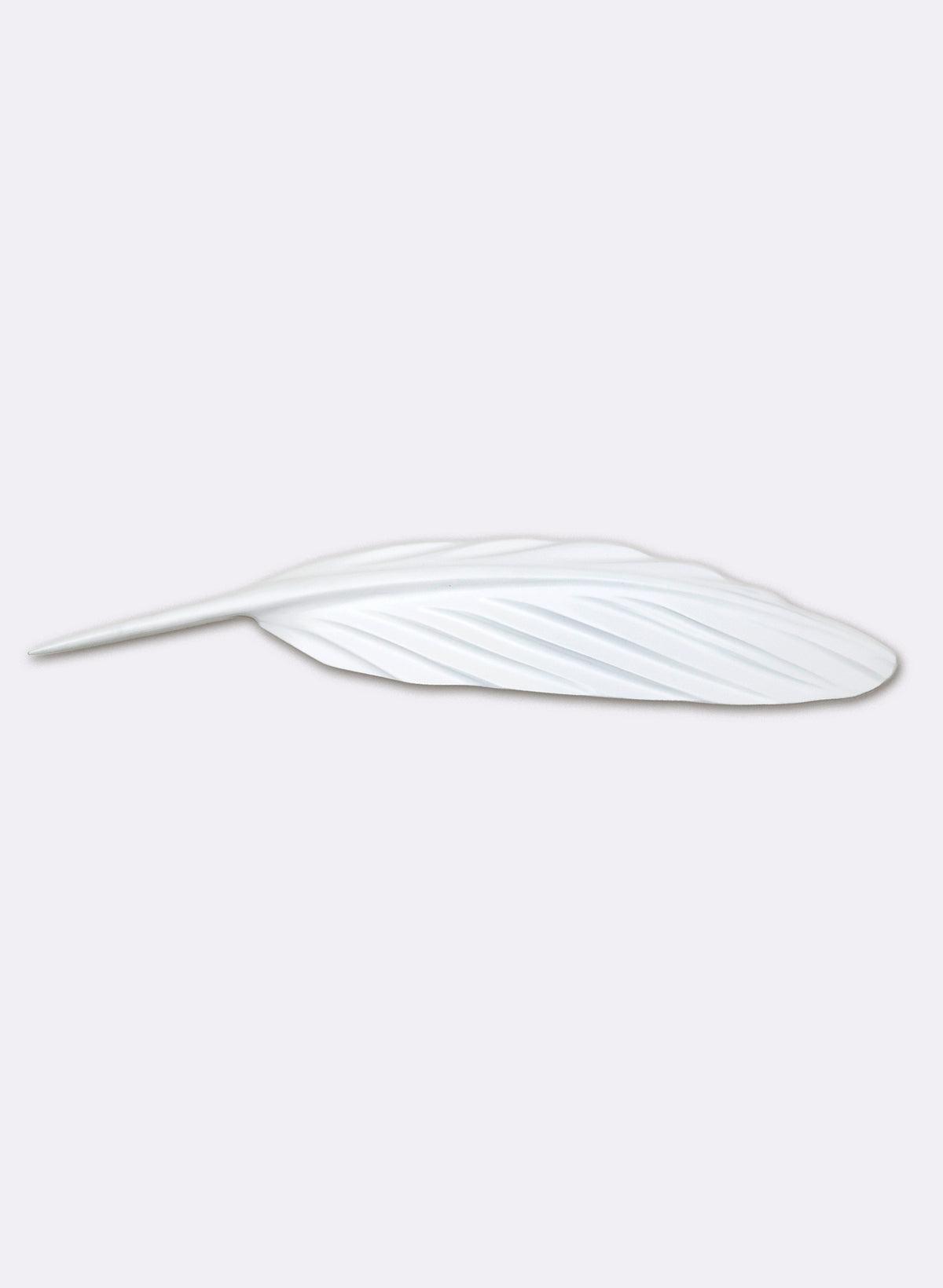Kotuku Swamp Kauri Feather 535mm