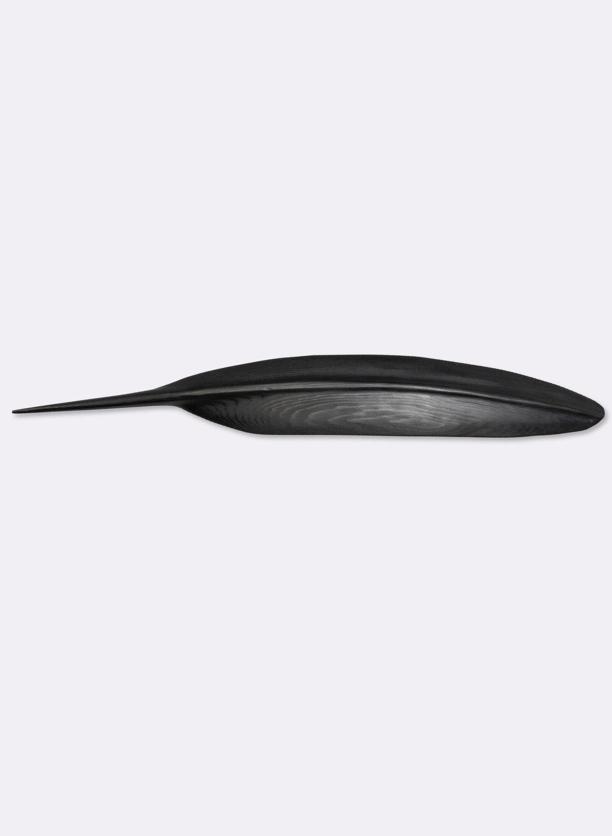 Tūī Feather Cedar 510mm