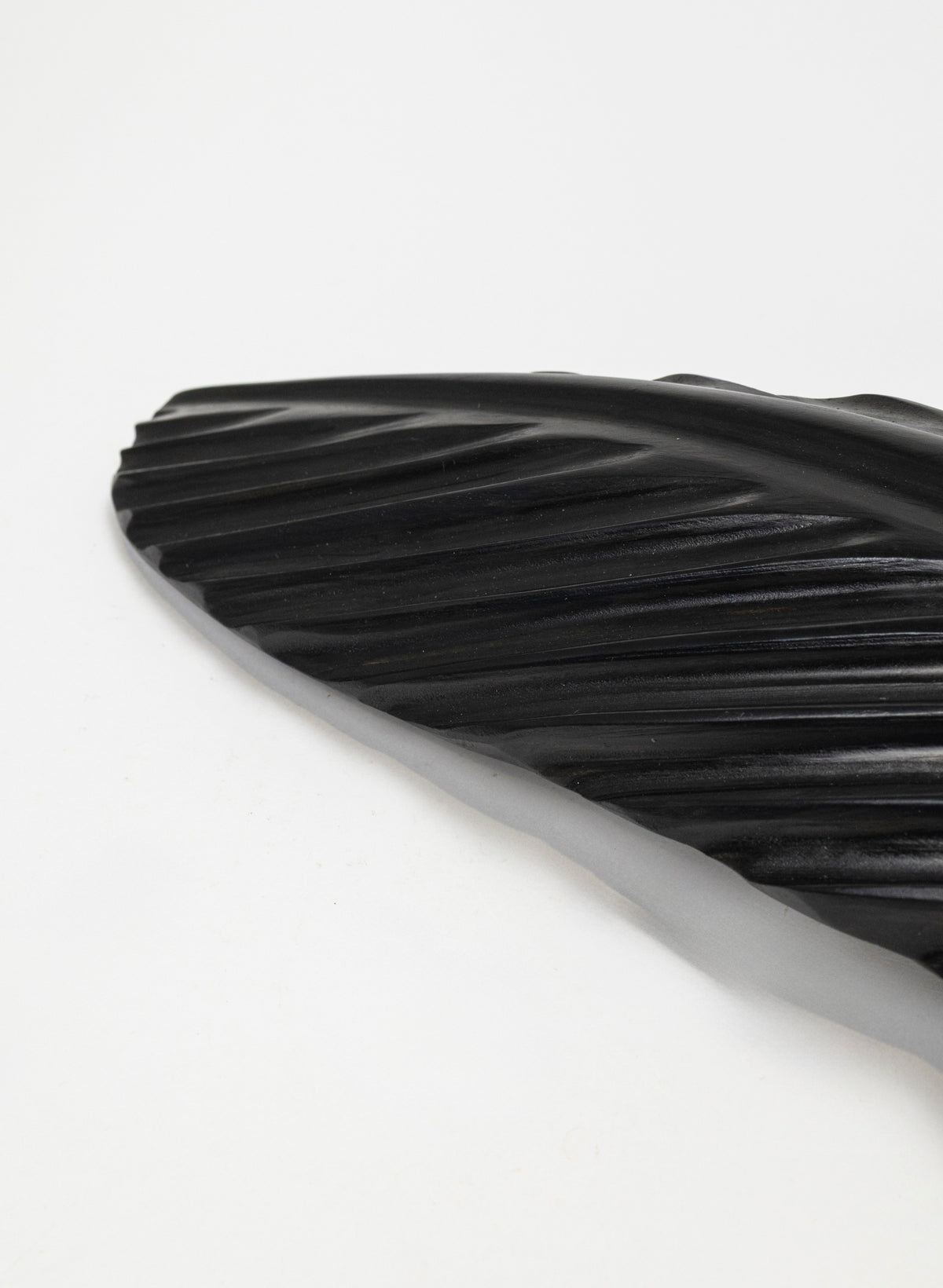Tūī Swamp Kauri Feather 620mm