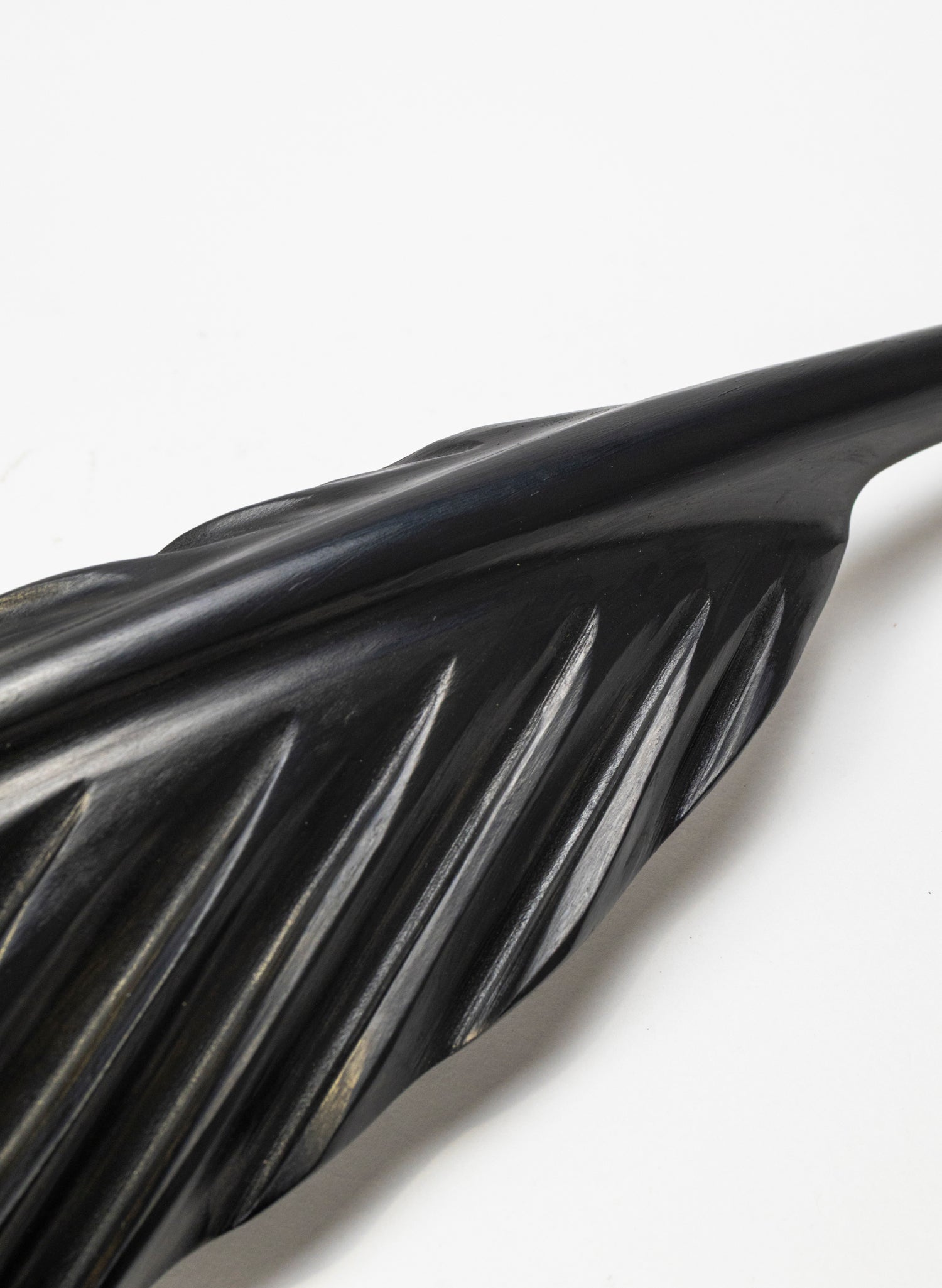 Tūī Swamp Kauri Feather 620mm