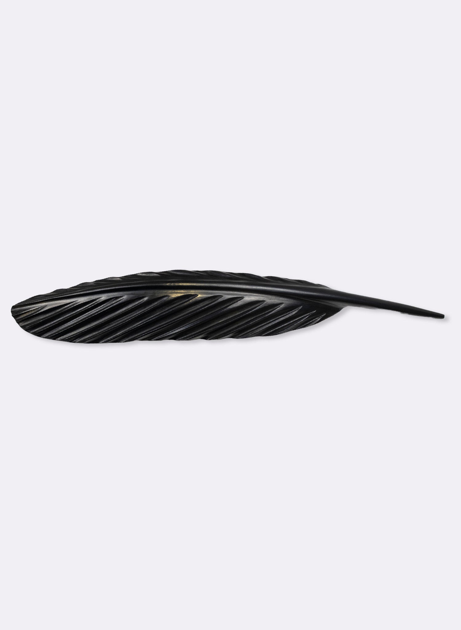 Tūī Swamp Kauri Feather 620mm