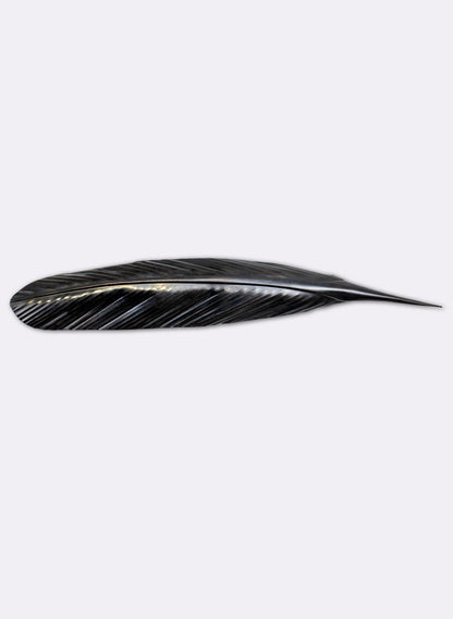 Tui Copper Feather 520mm