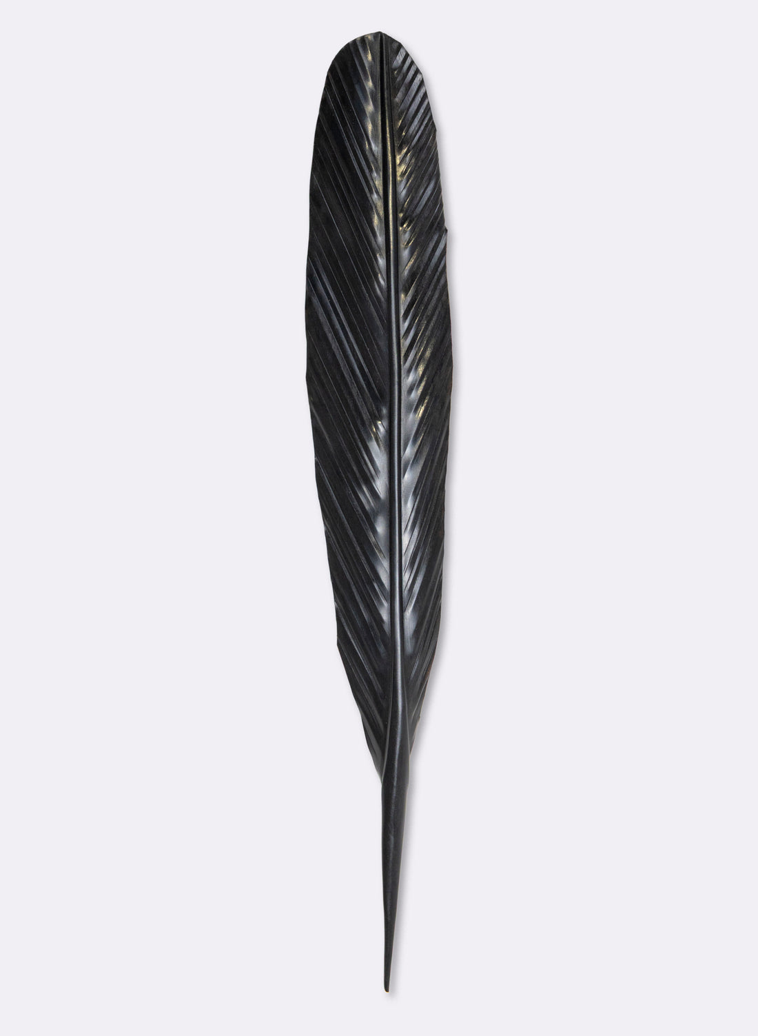 Tui Copper Feather 545mm