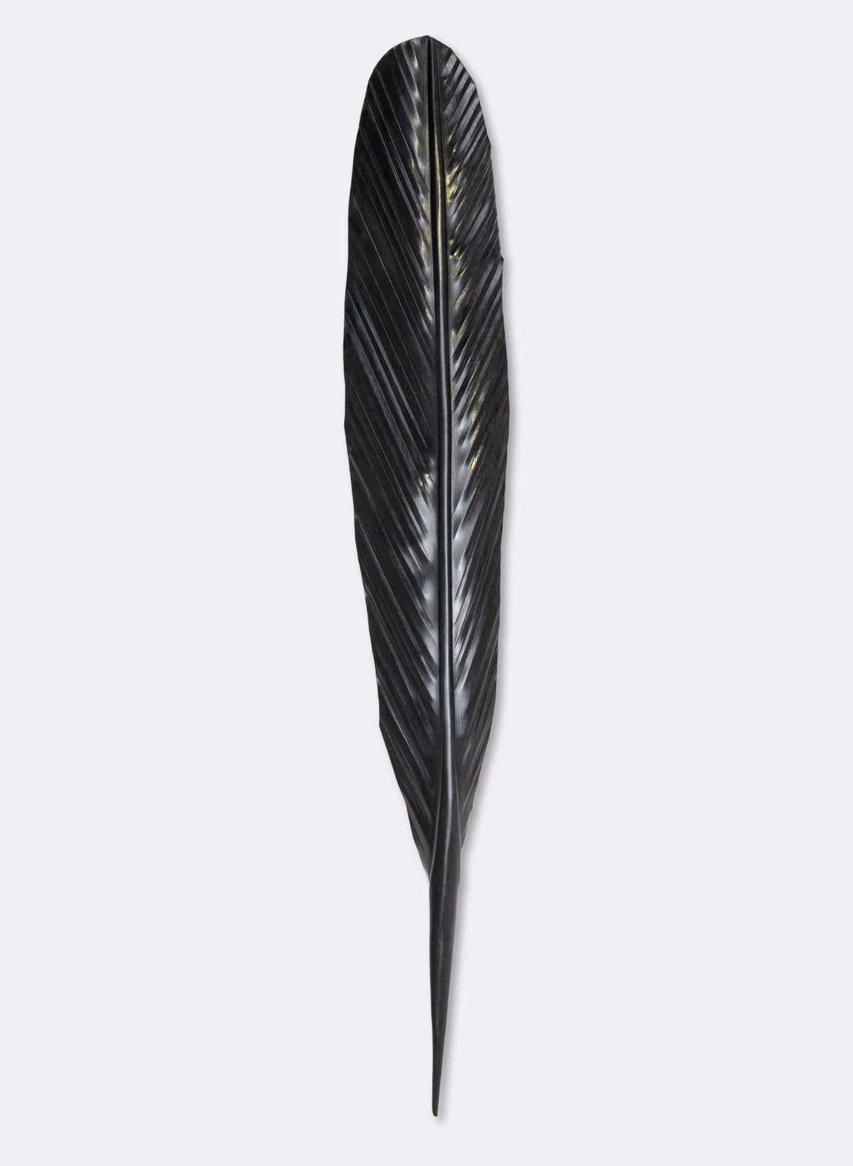 Tui Copper Feather 545mm