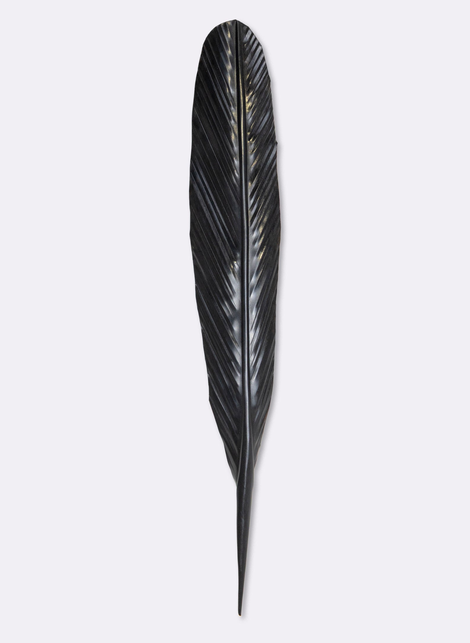 Tui Copper Feather 545mm
