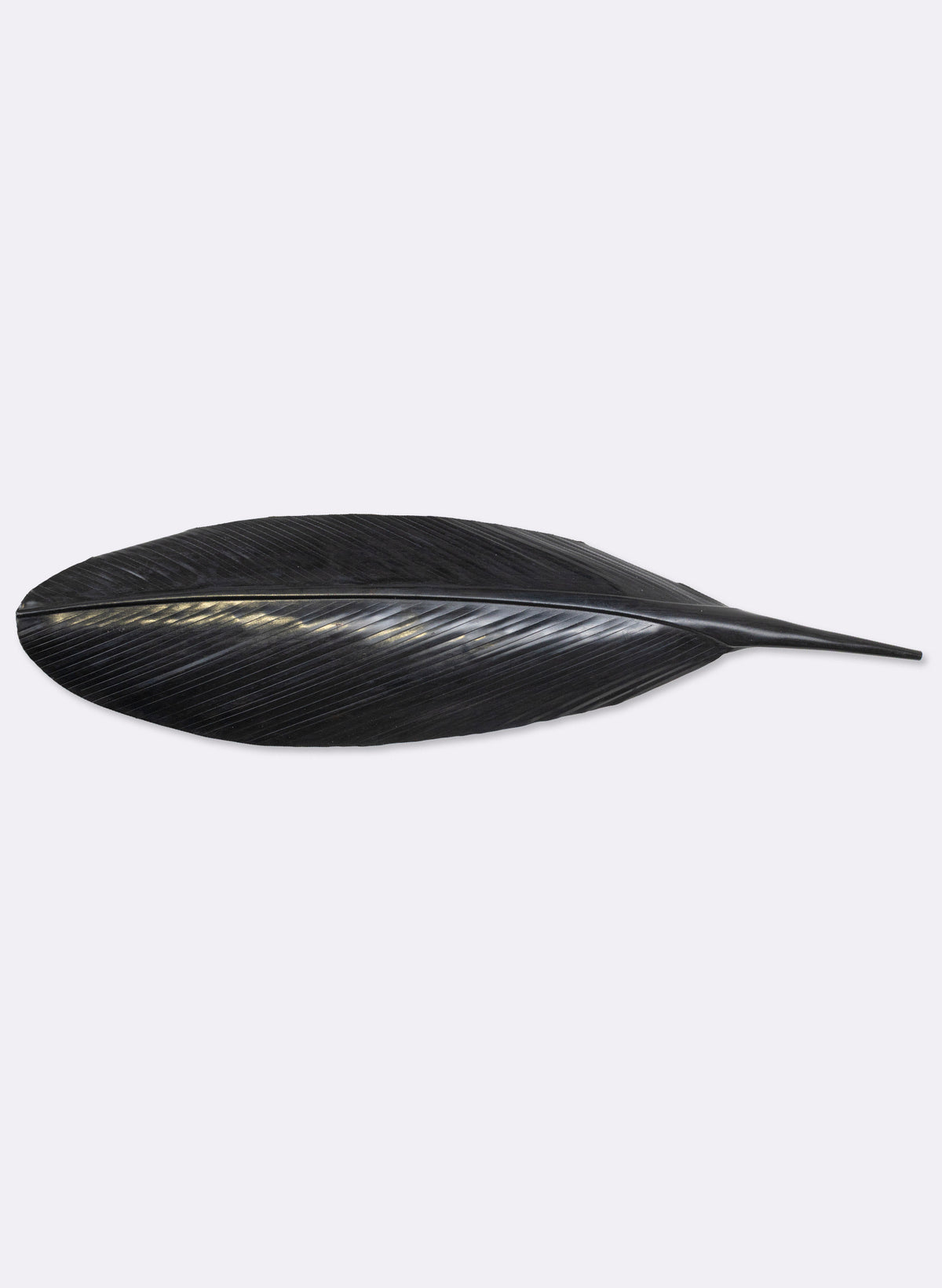 Tui Copper Feather 560mm