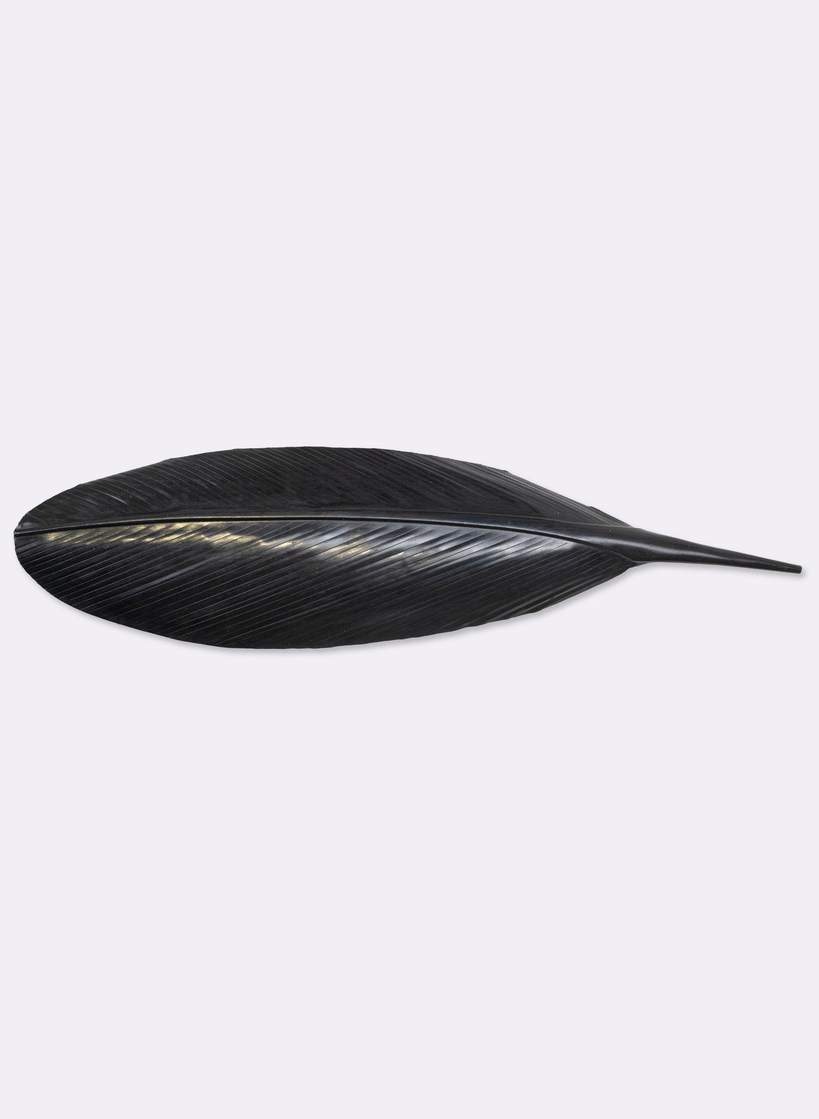 Tui Copper Feather 560mm