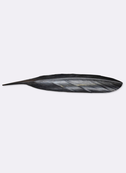 Tui Copper Feather 465mm