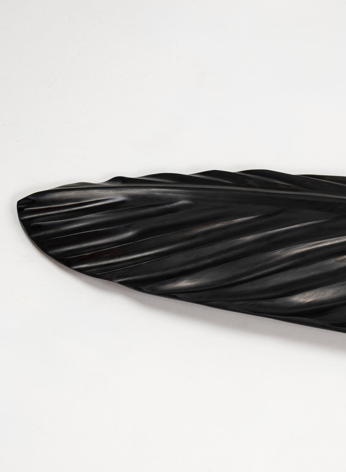 Tūī Swamp Kauri Feather 1.64m