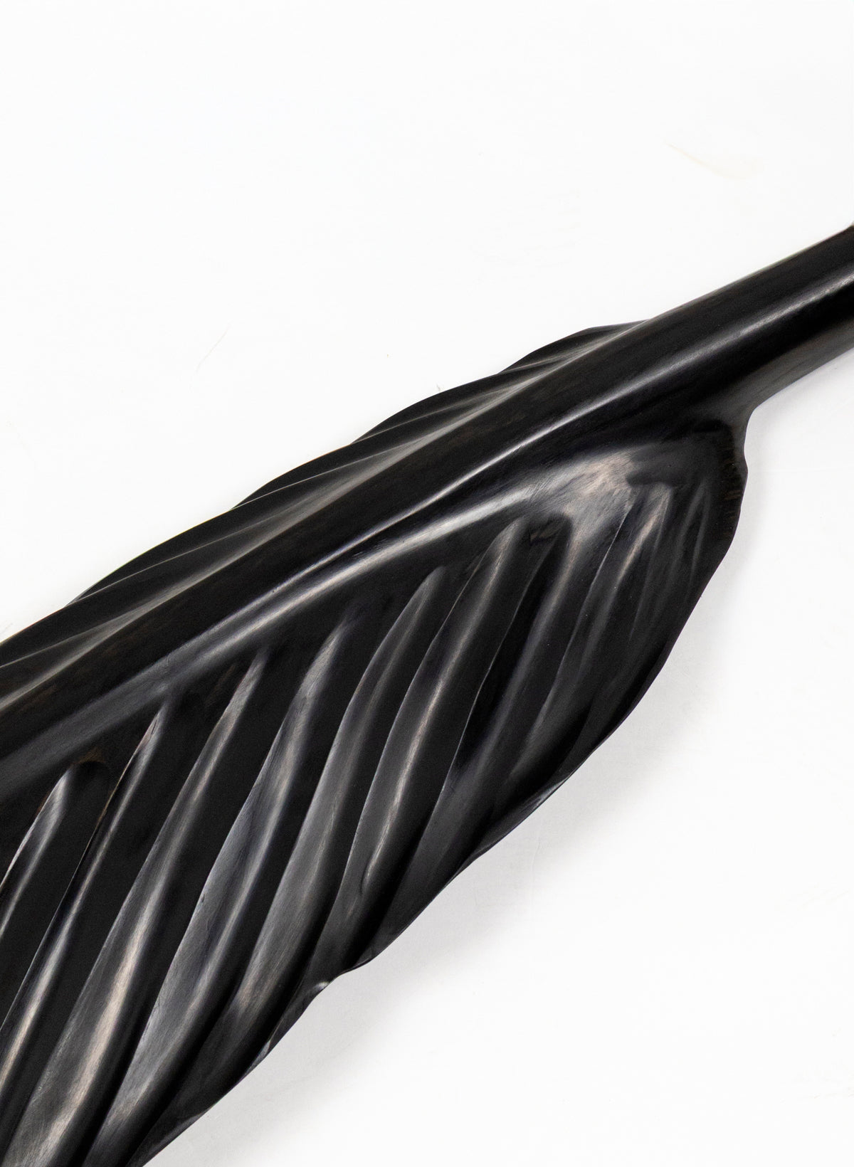 Tūī Swamp Kauri Feather 1.64m