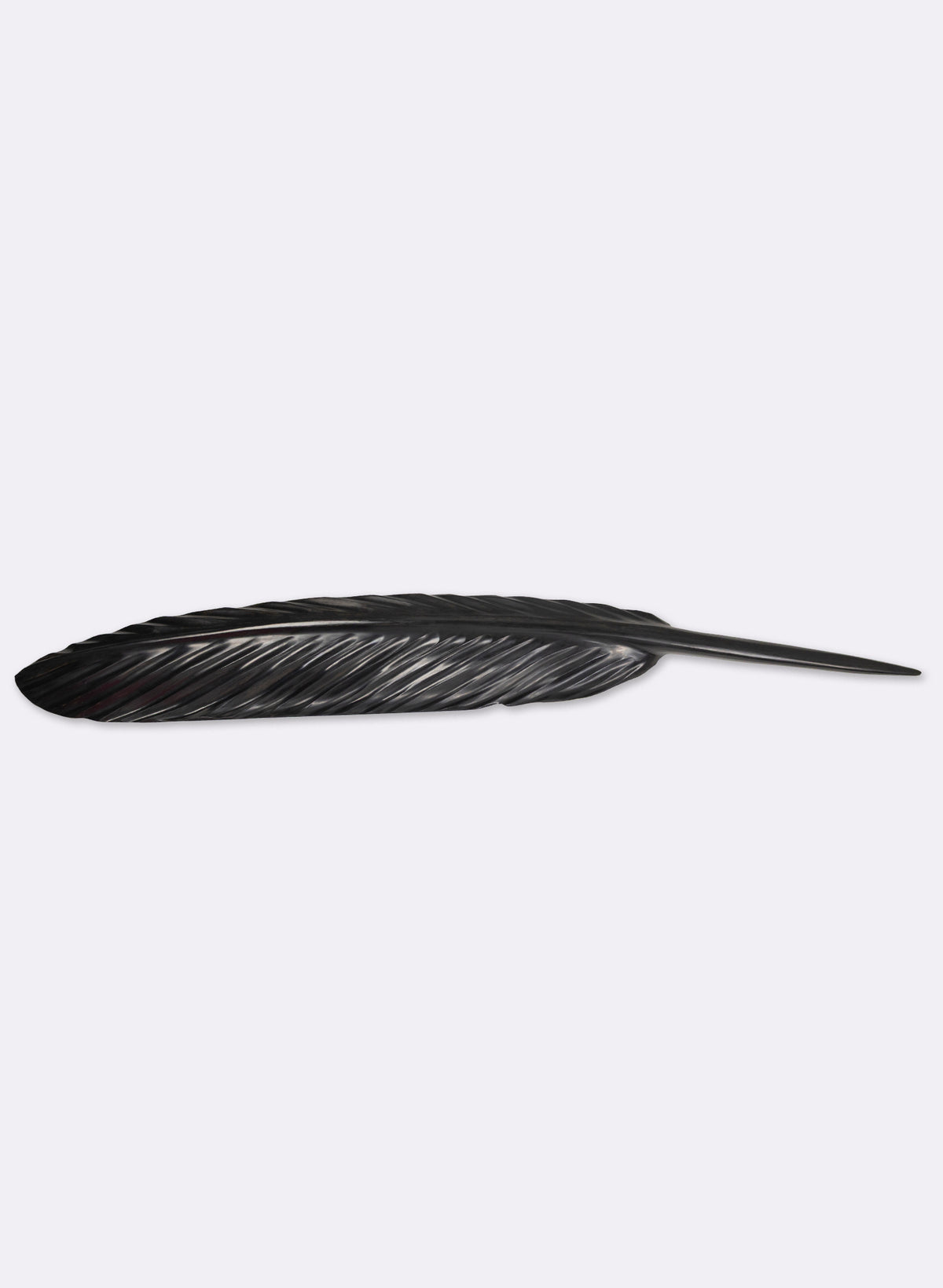 Tūī Swamp Kauri Feather 1.64m