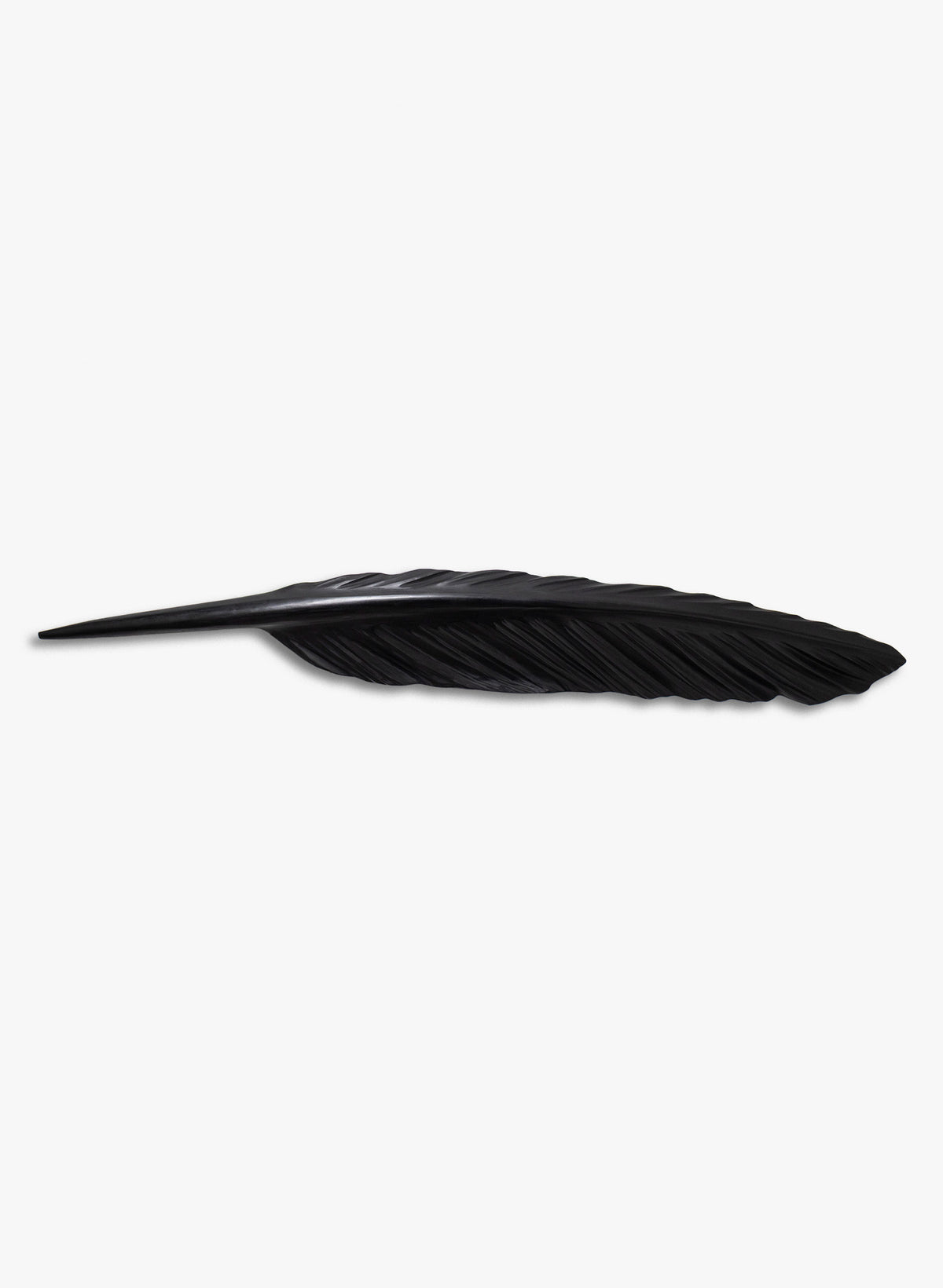 Tūī Redwood Tmber Feather 1.43m