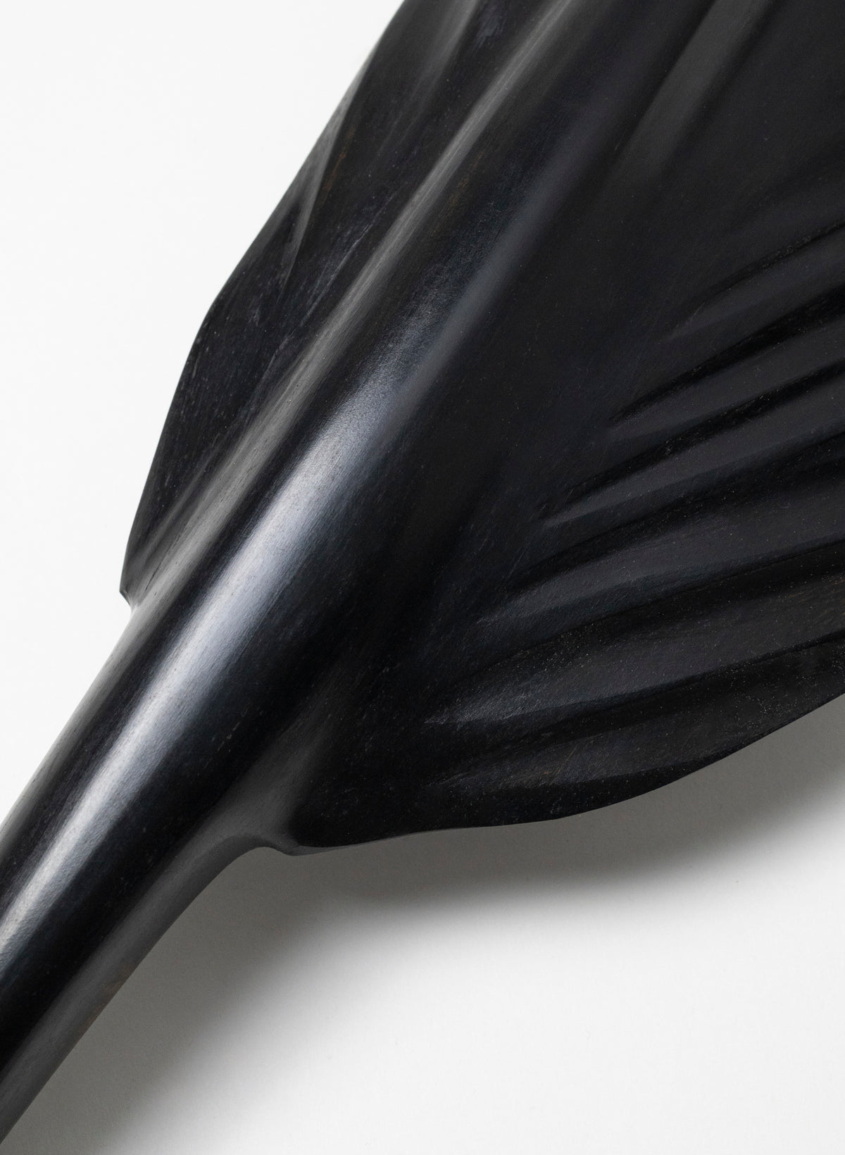 Tūī Swamp Kauri Feather 770mm