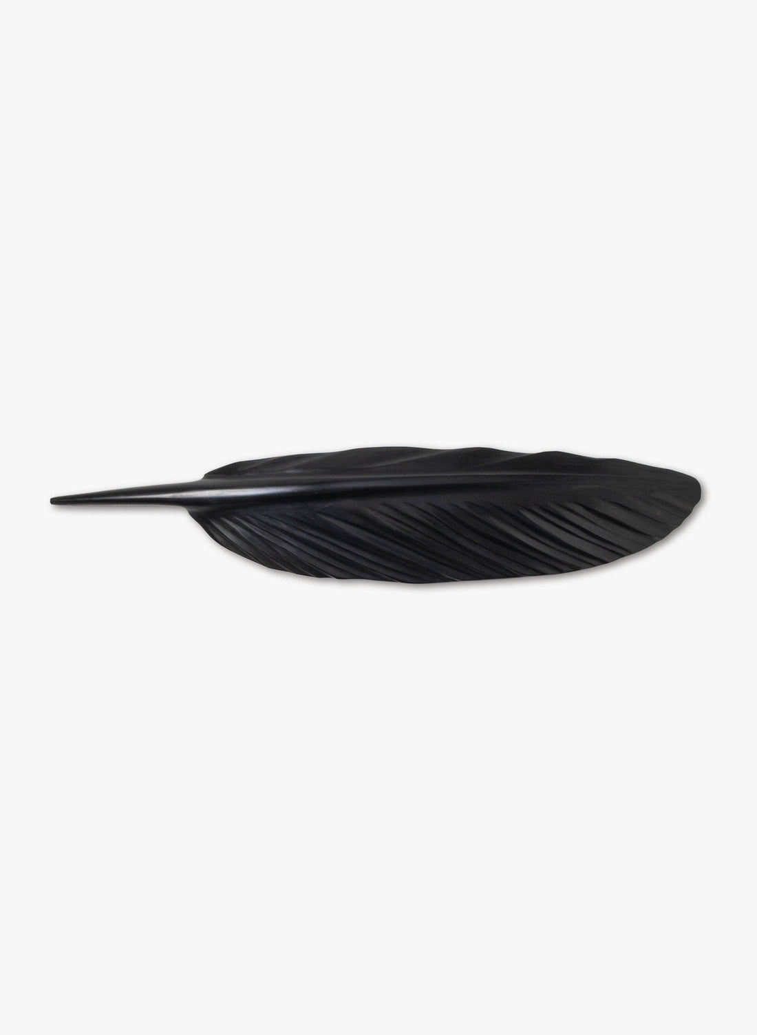 Tūī Swamp Kauri Feather 770mm