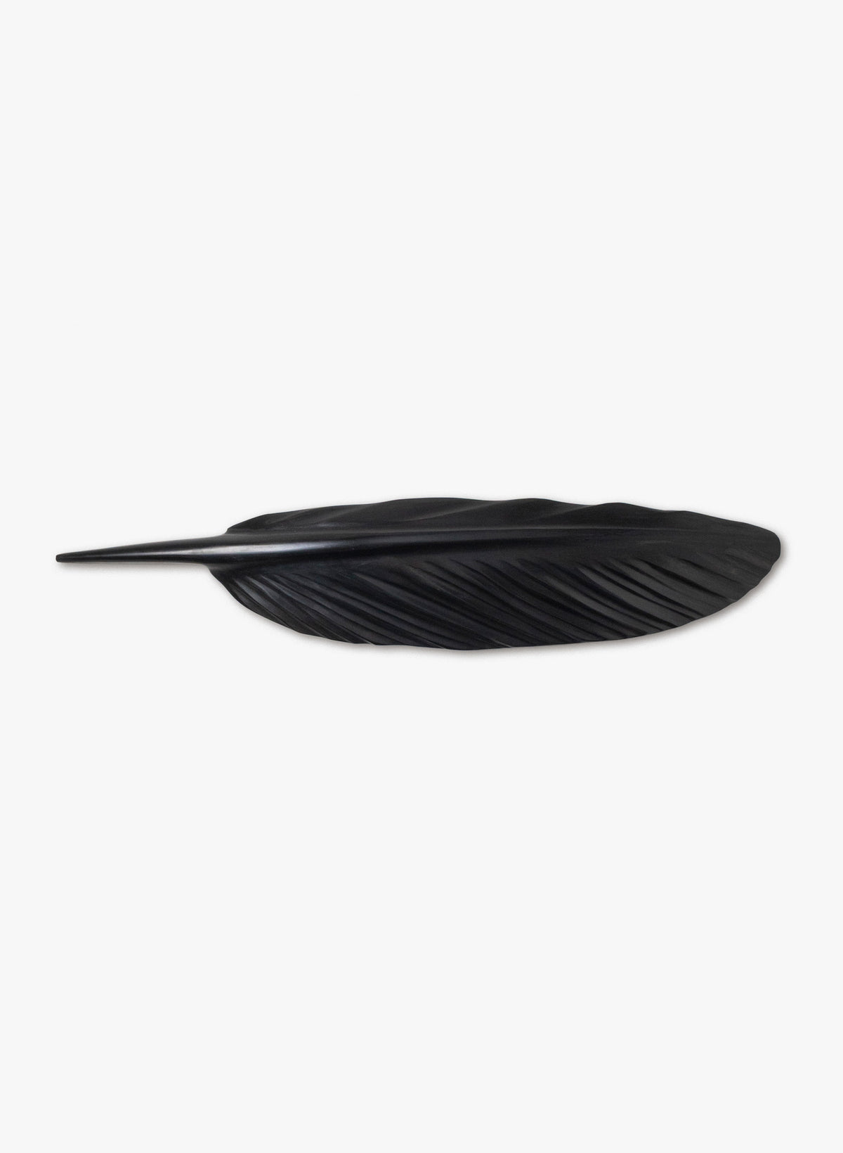 Tūī Swamp Kauri Feather 770mm