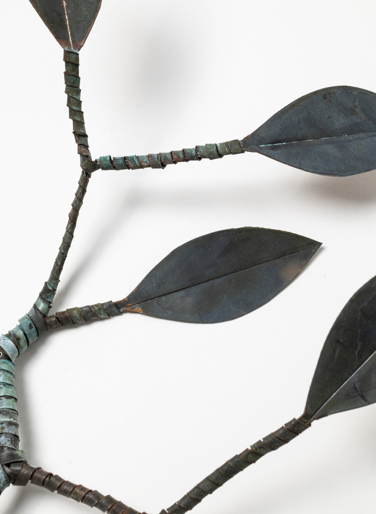 Branching Out