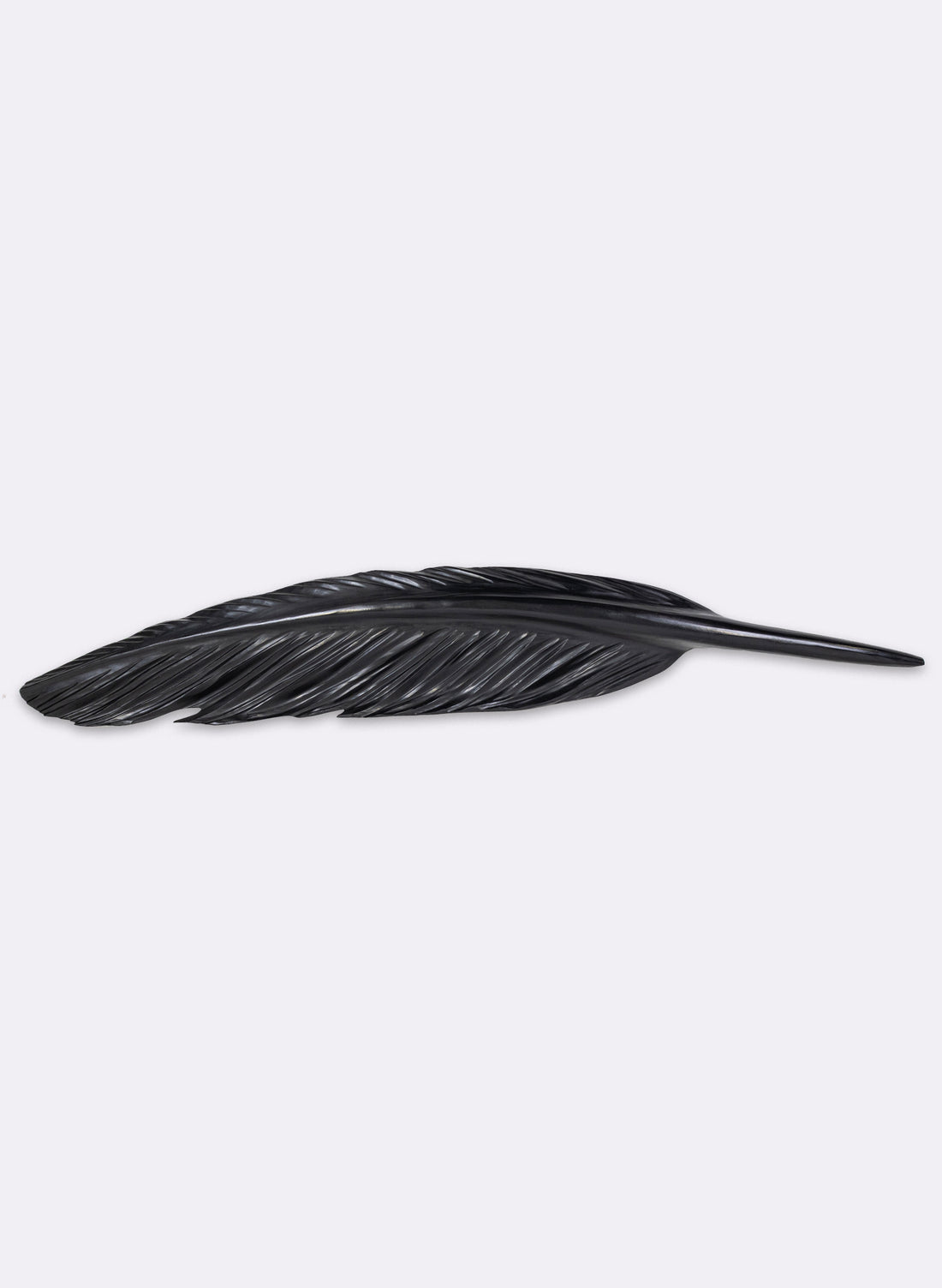 Tūī Feather Redwood 1.2m