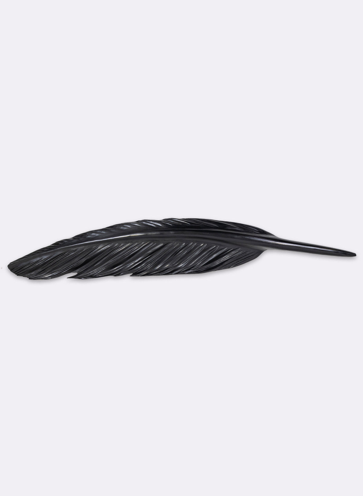 Tūī Feather Redwood 1.2m