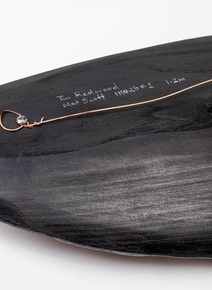 Tūī Feather Redwood 1.2m