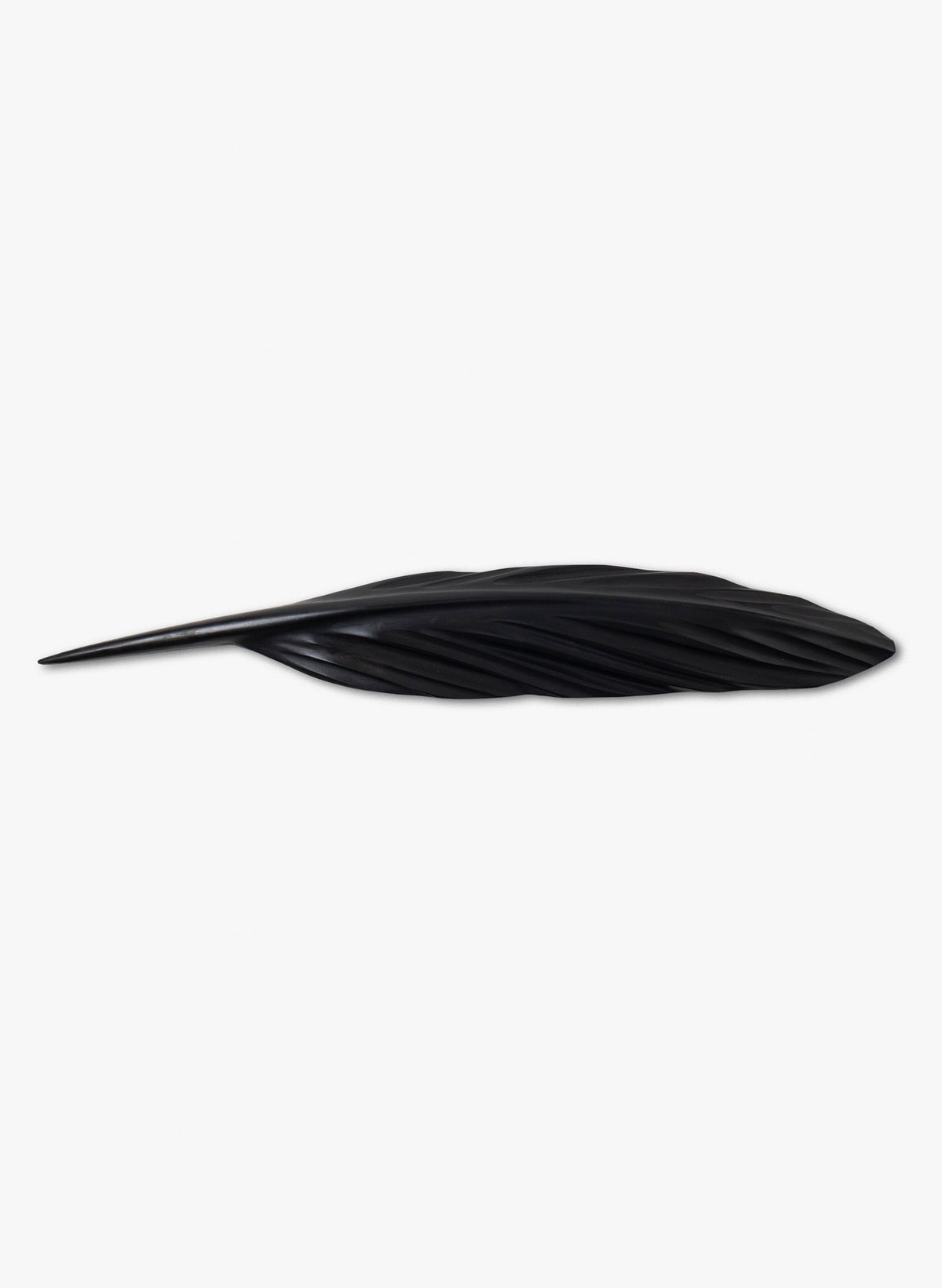 Tūī Swamp Kauri Feather 650mm
