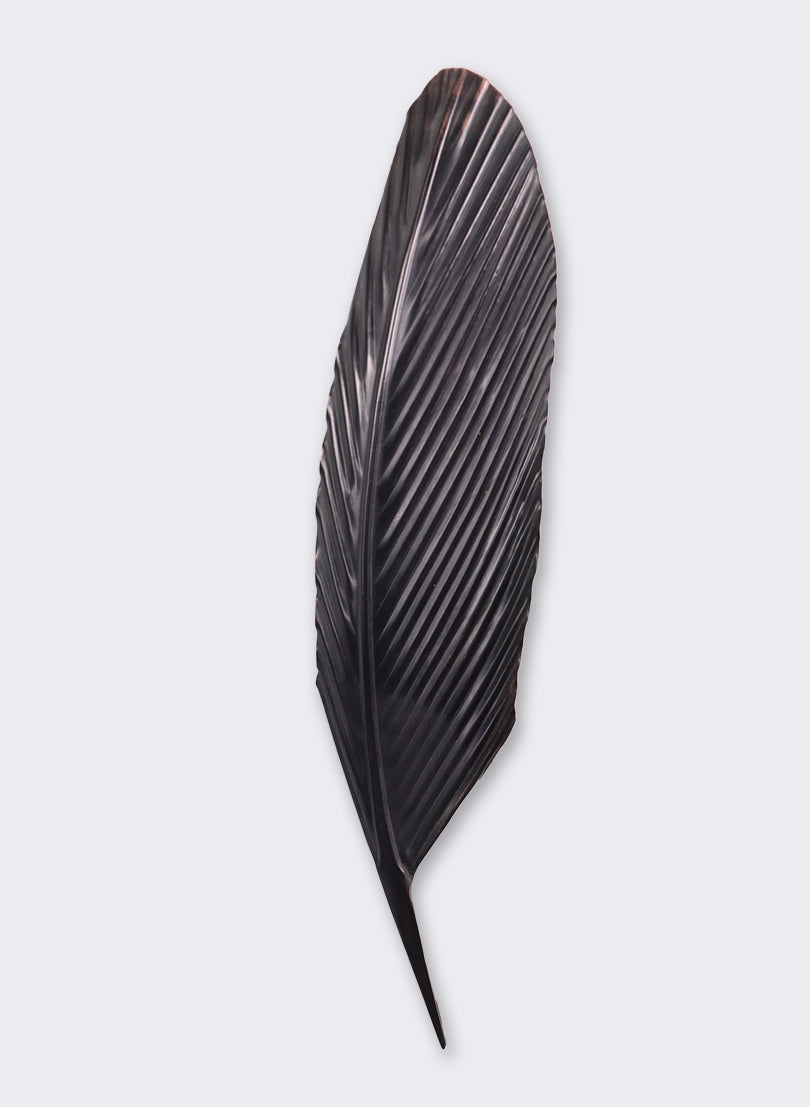 Tui Copper Feather 520mm