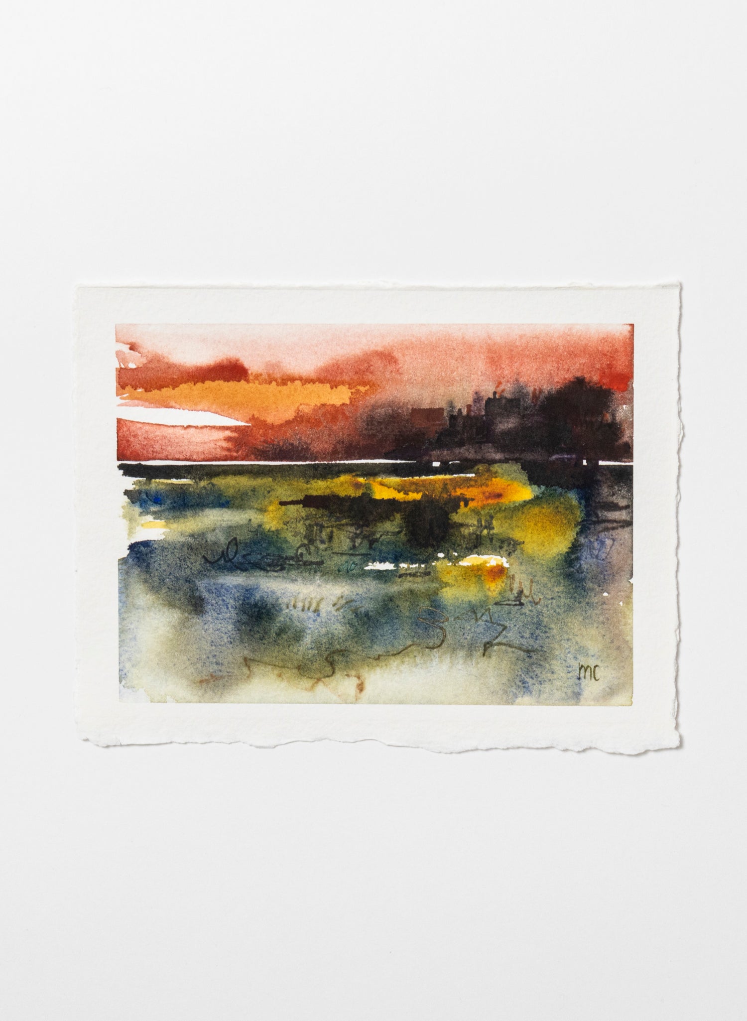 Mangrove Sunset Framed