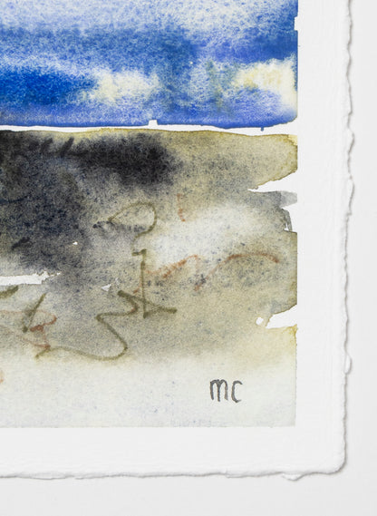 Mangrove Study 