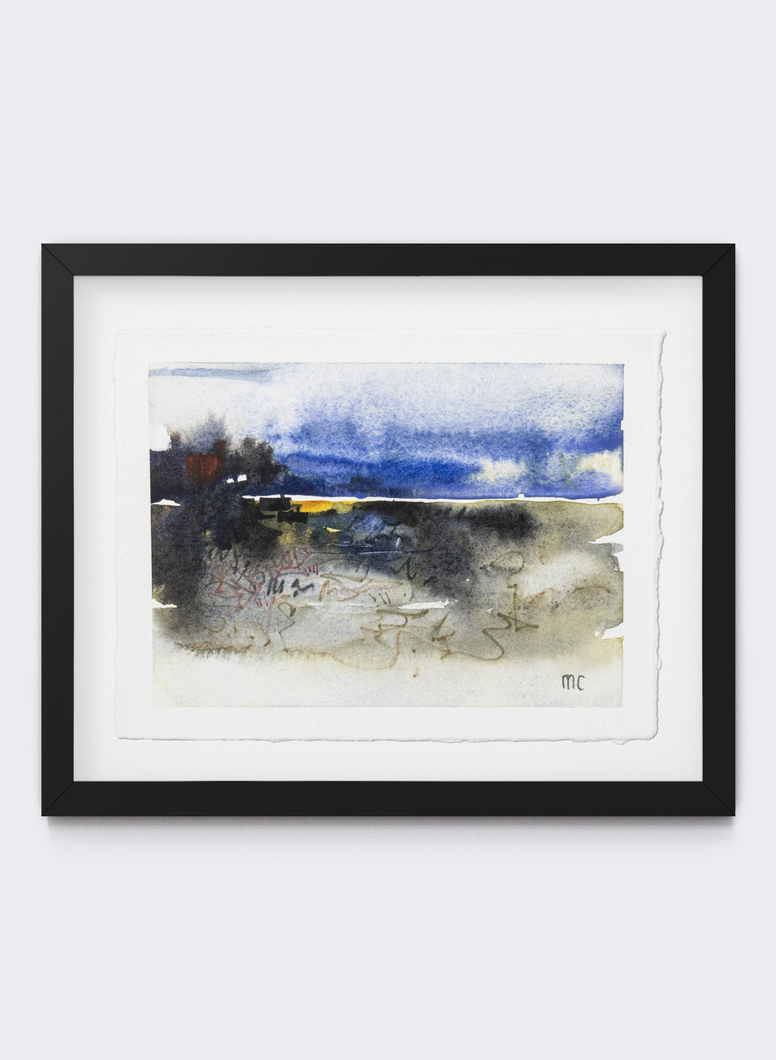 Mangrove Study 