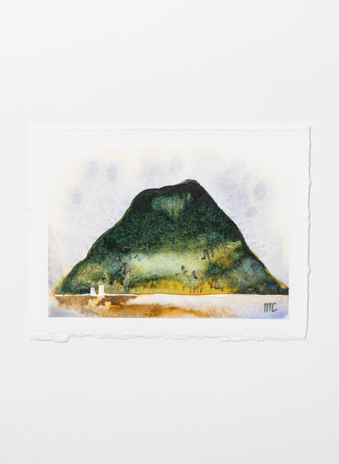 Mauao Study 
