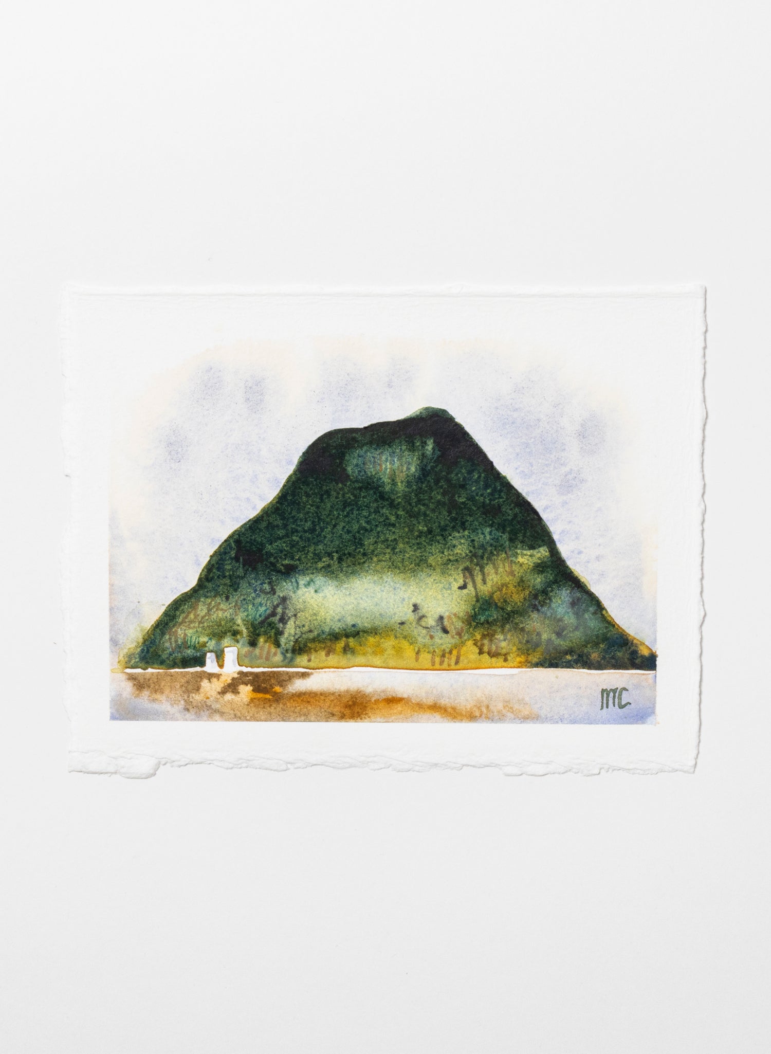 Mauao Study 