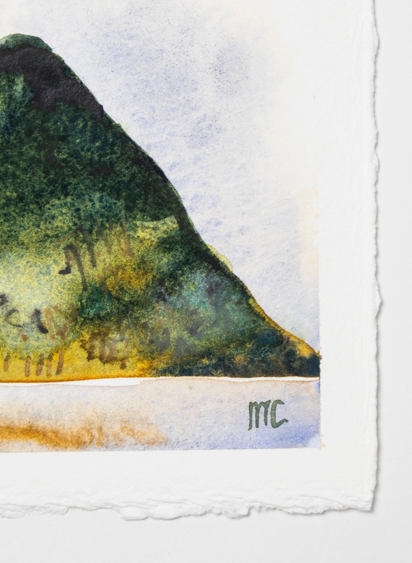 Mauao Study 