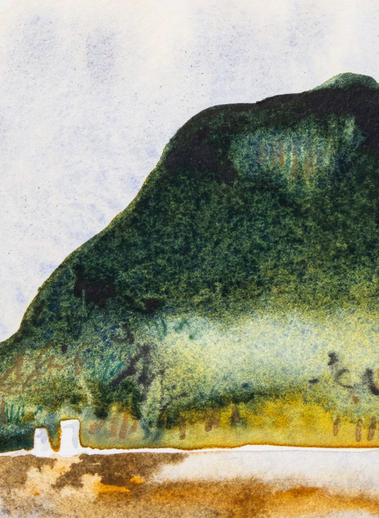 Mauao Study 