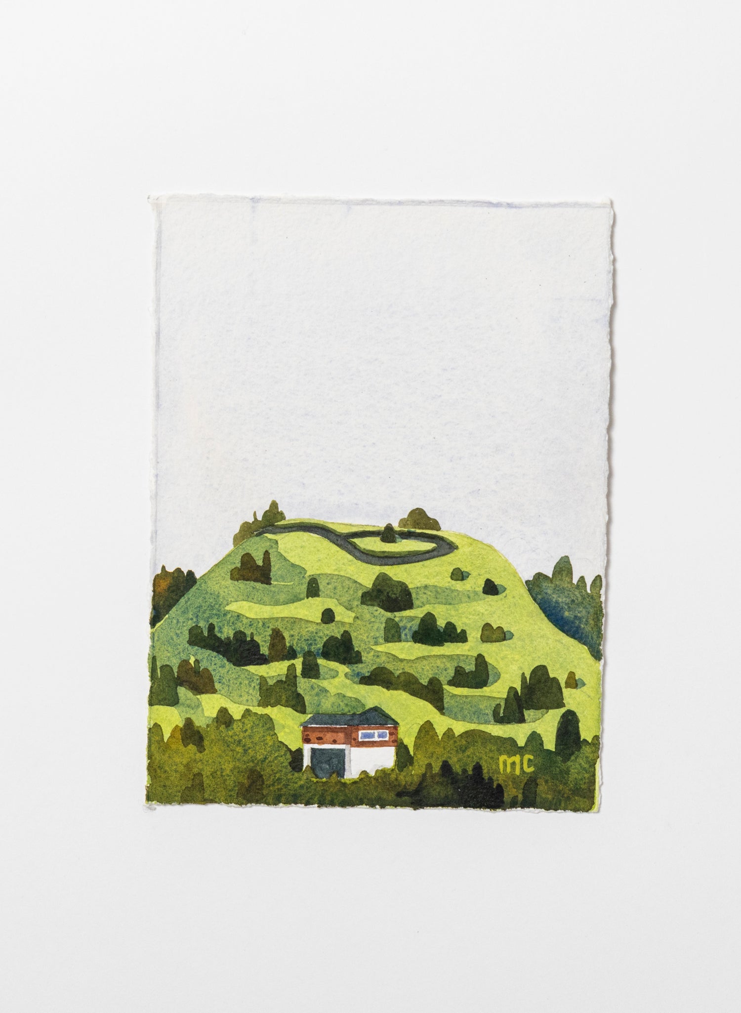 Mount Roskill / Puketāpapa I