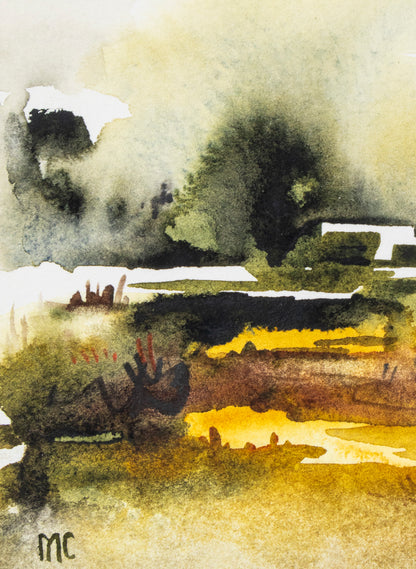 Mangrove Study 