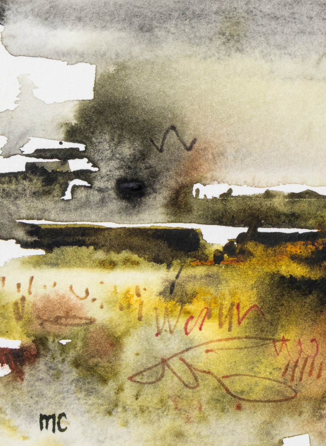Mangrove Study 