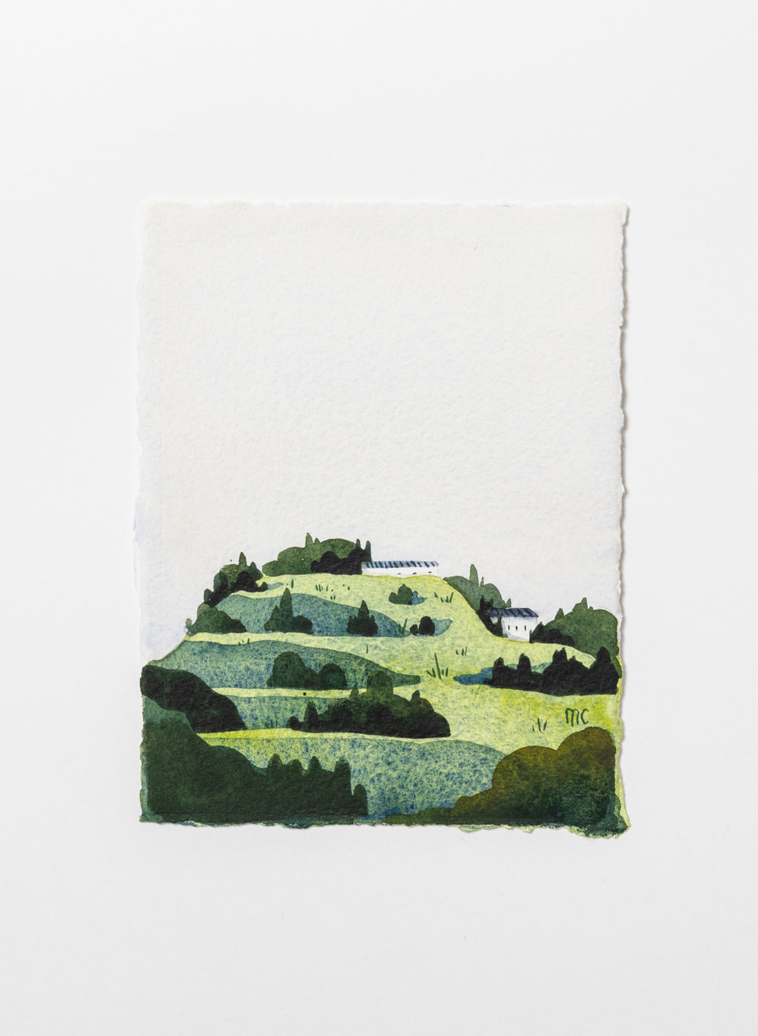 North Head / Maungauika I