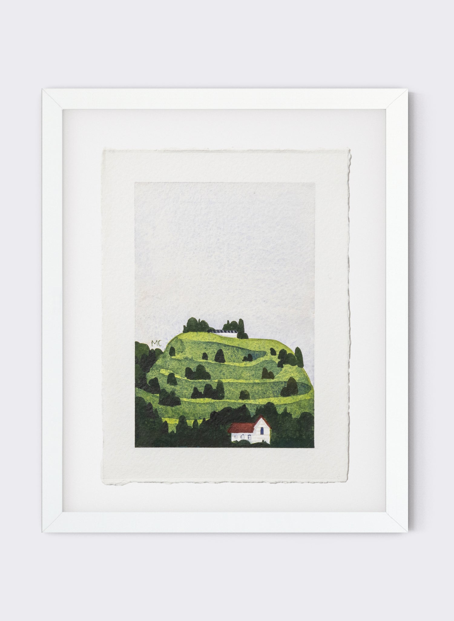 Mount Eden / Maungawhau I