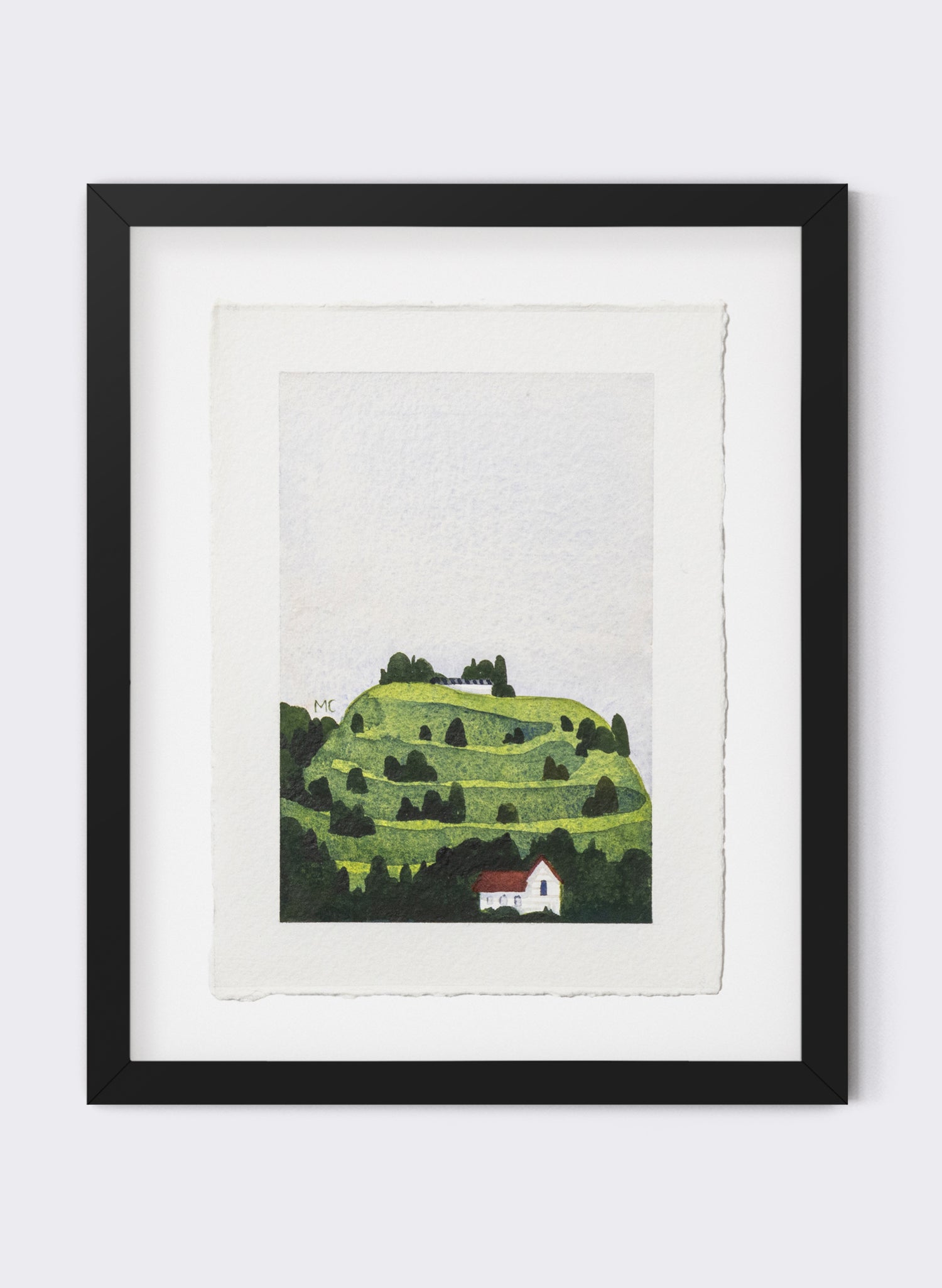 Mount Eden / Maungawhau I
