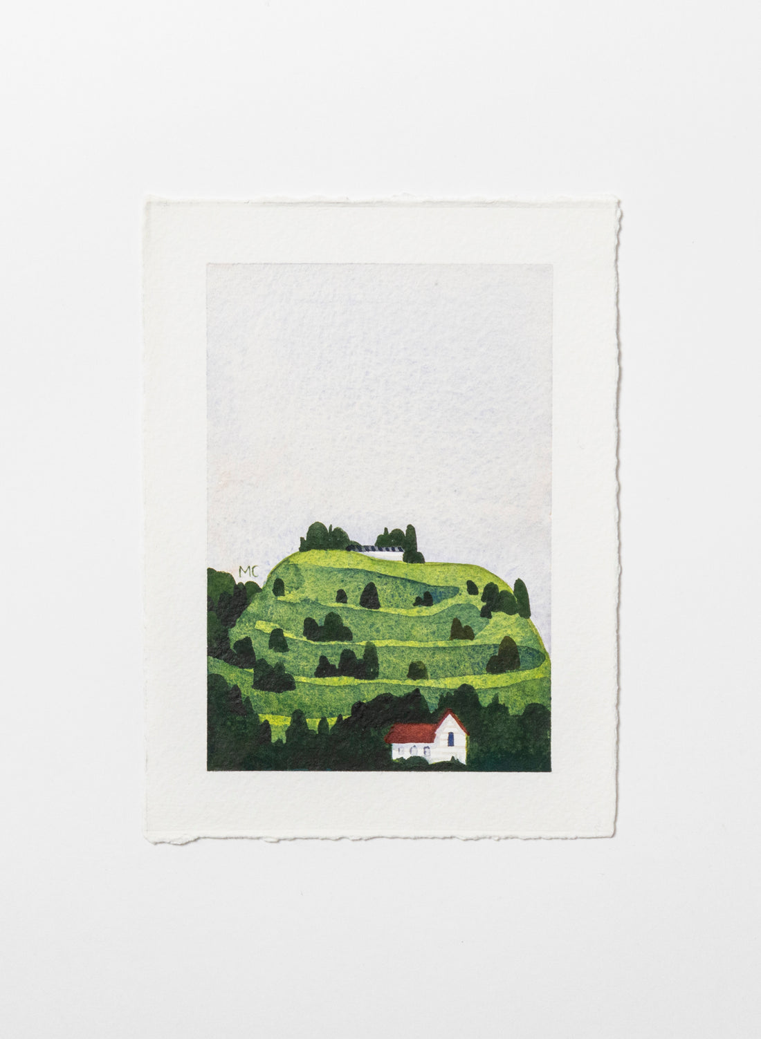 Mount Eden / Maungawhau I