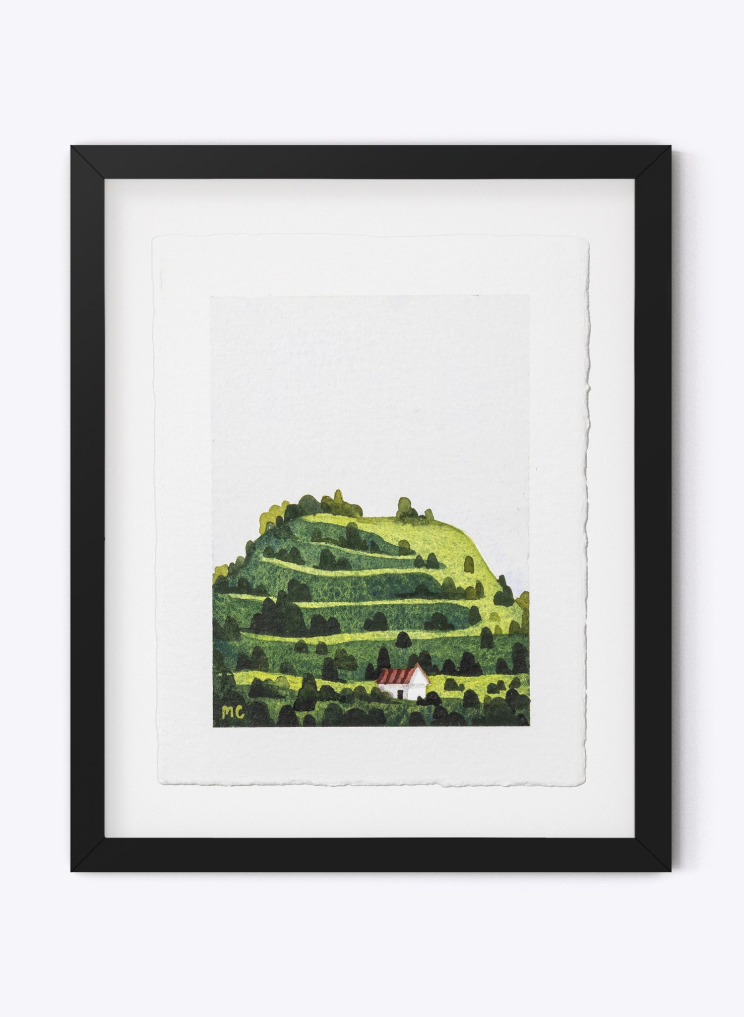 Mount Eden / Maungawhau II