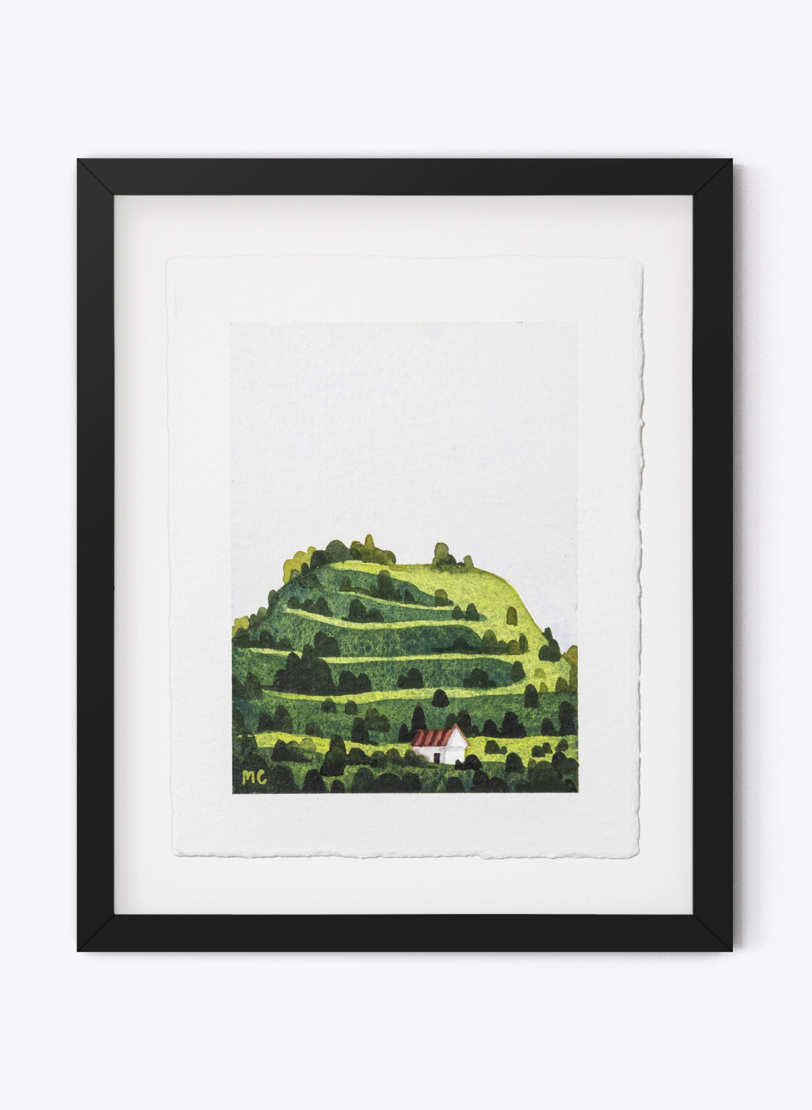 Mount Eden / Maungawhau II