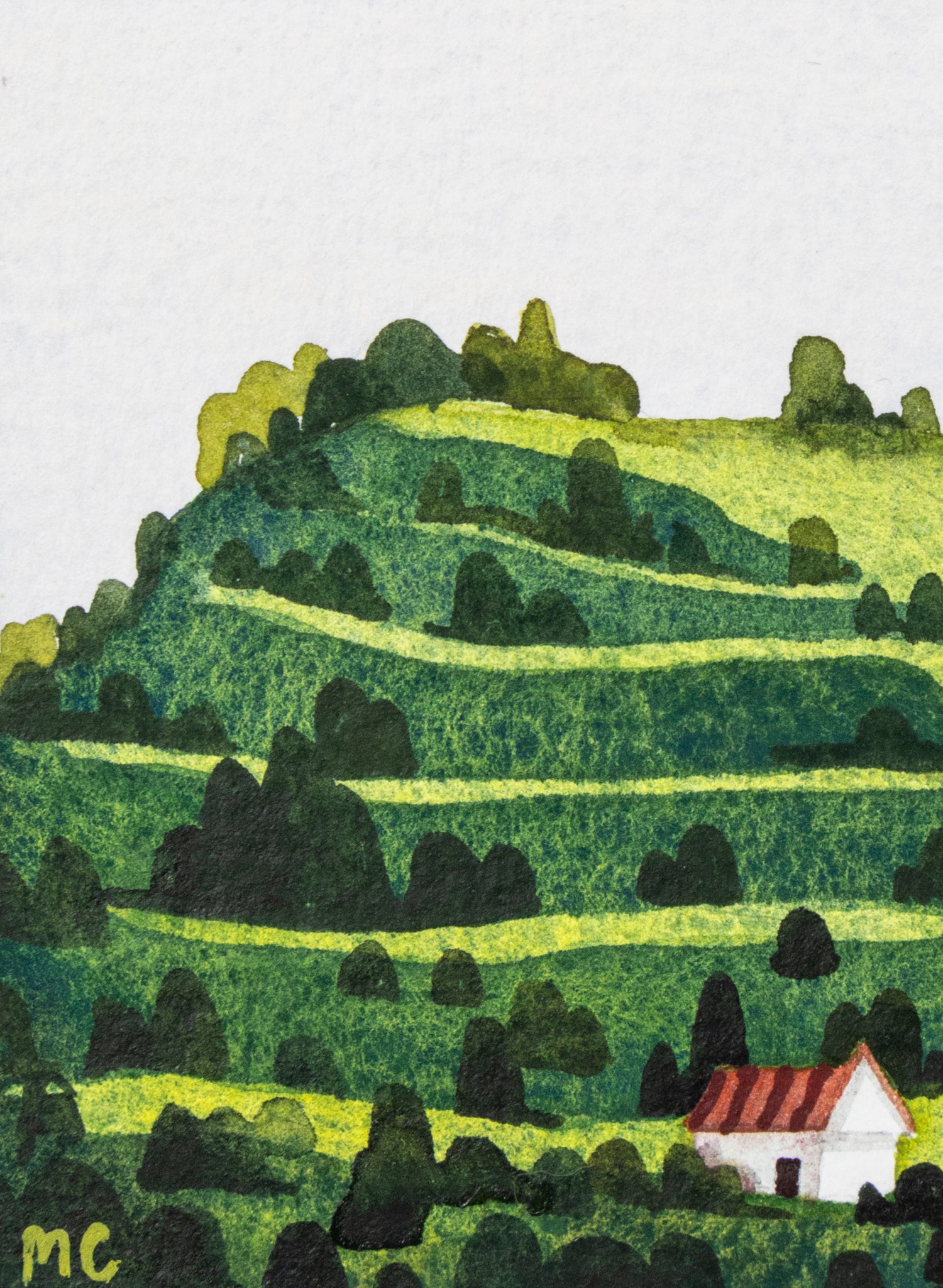 Mount Eden / Maungawhau II