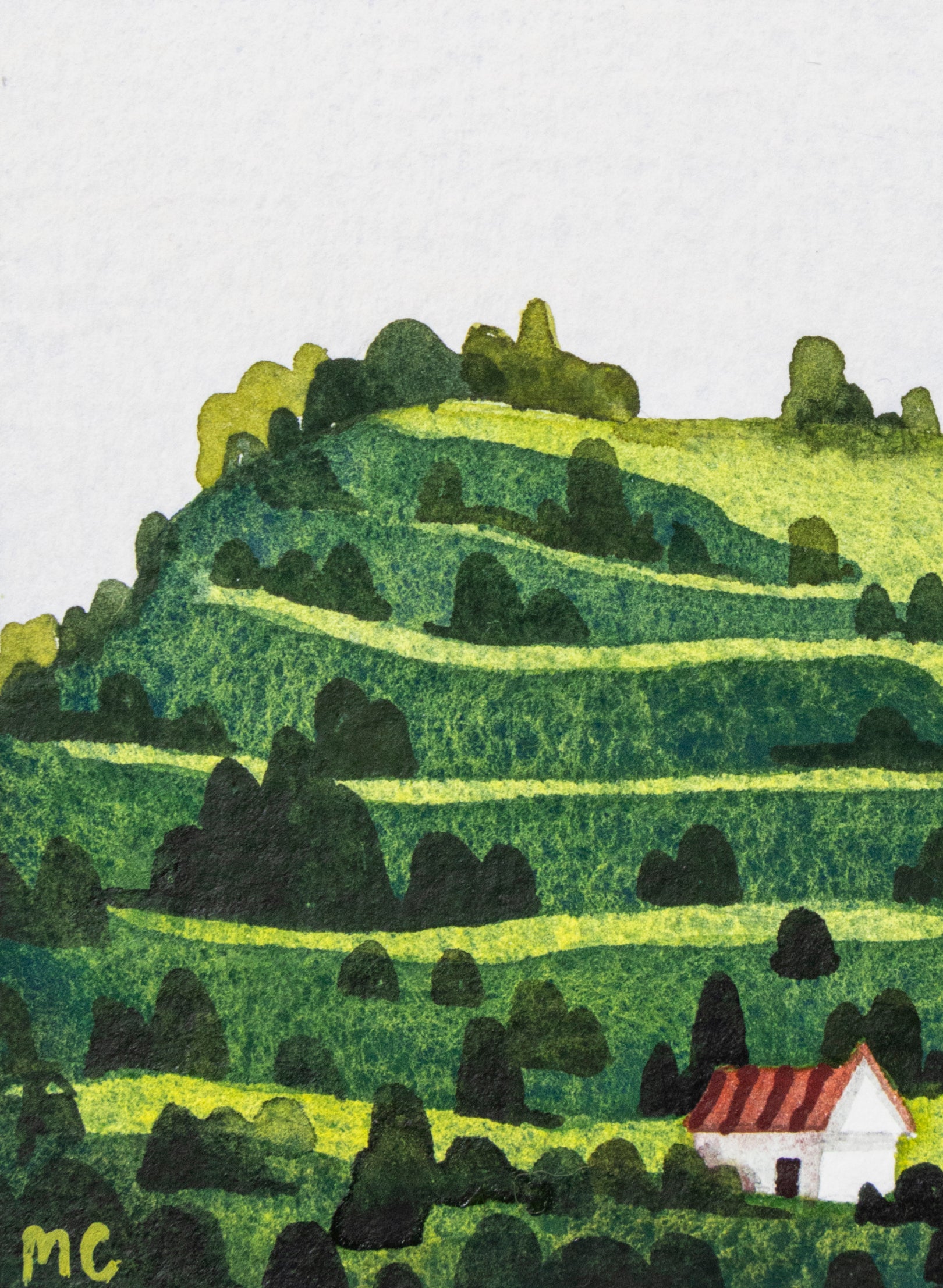 Mount Eden / Maungawhau II