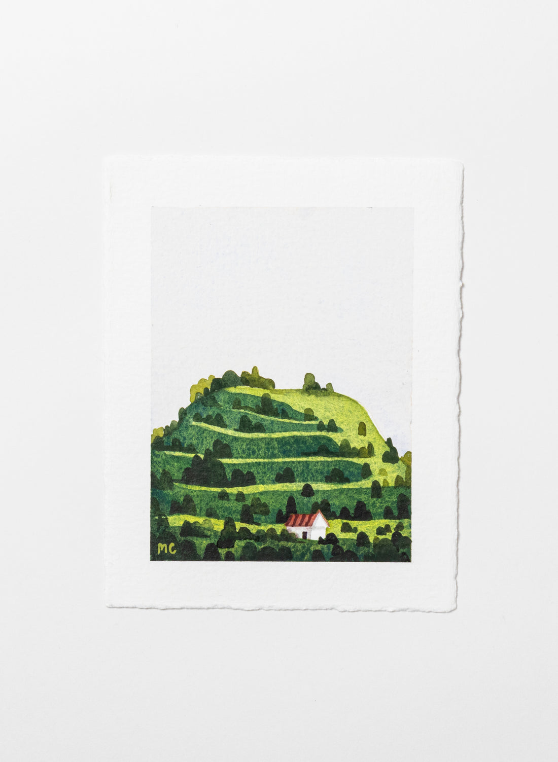 Mount Eden / Maungawhau II