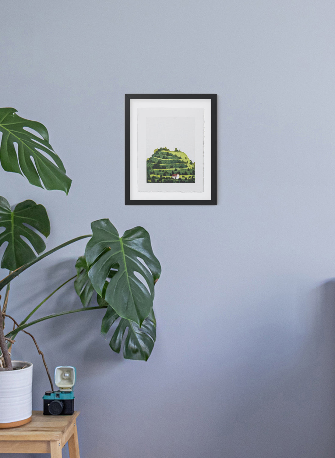 Mount Eden / Maungawhau II