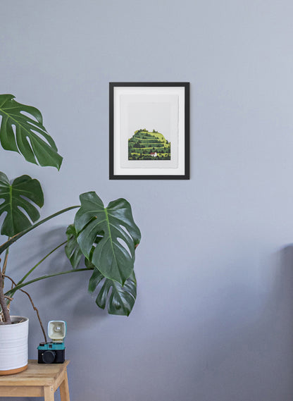 Mount Eden / Maungawhau II
