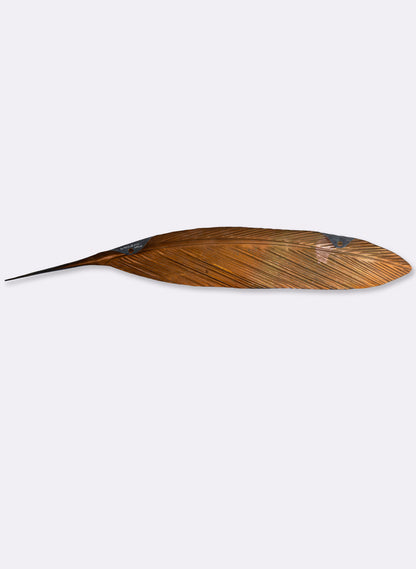 Tui Copper Feather 1045mm