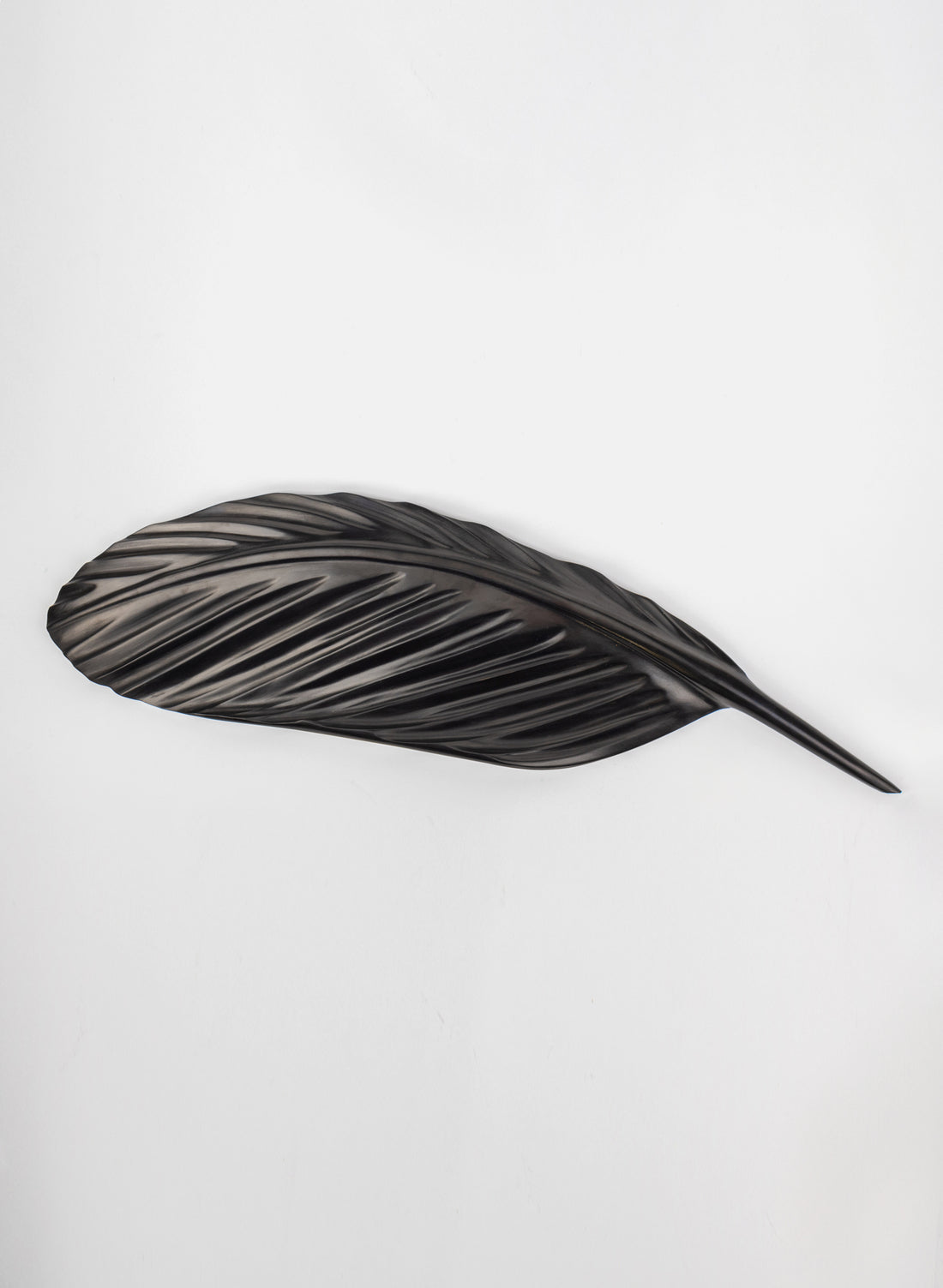 Tui Feather 740mm - Black Swamp Kauri
