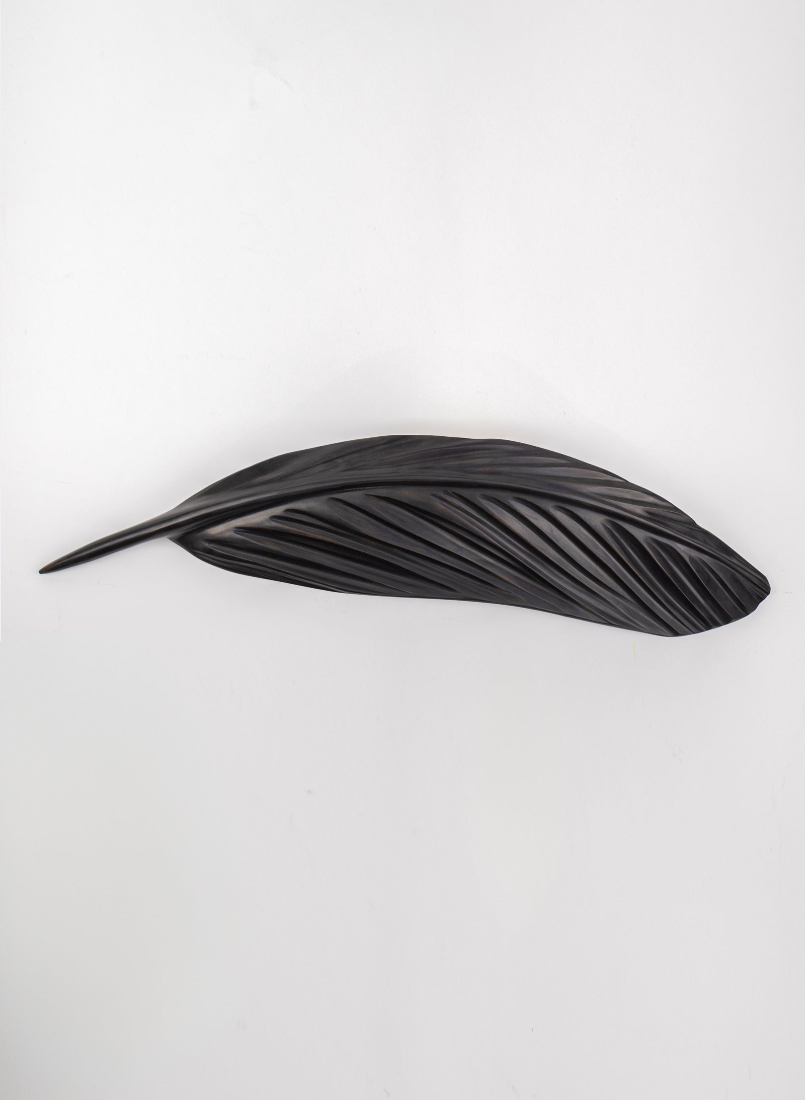 Tui Feather 640mm - Black Swamp Kauri