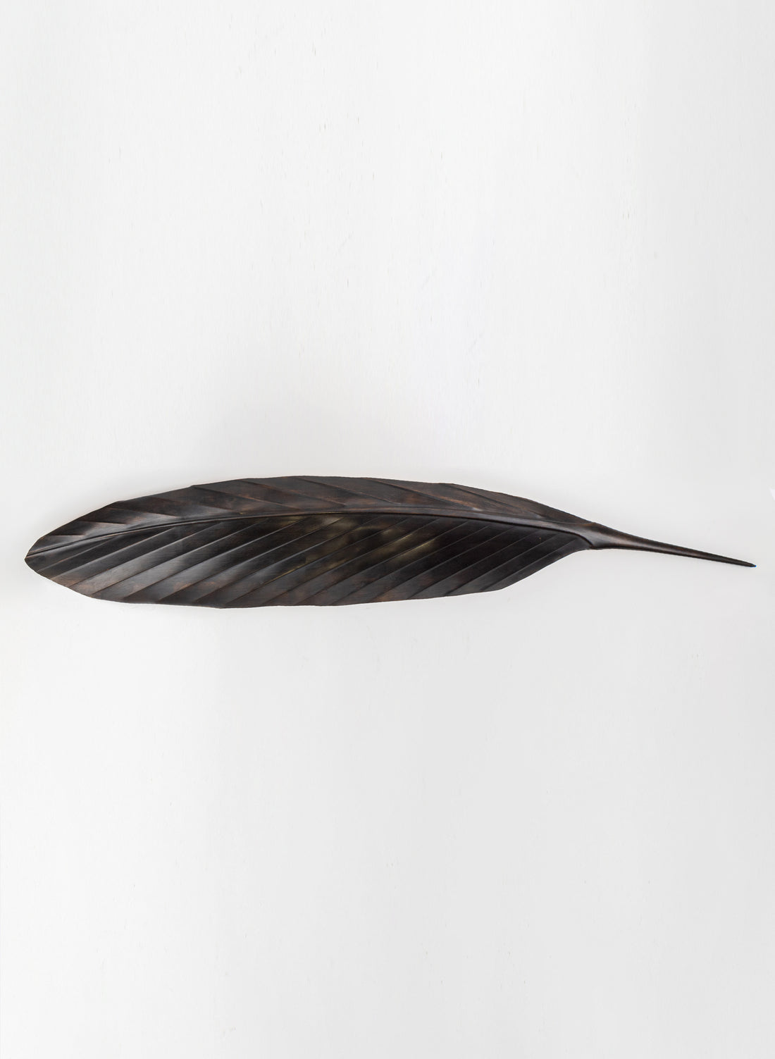 Tui Copper Feather 870mm